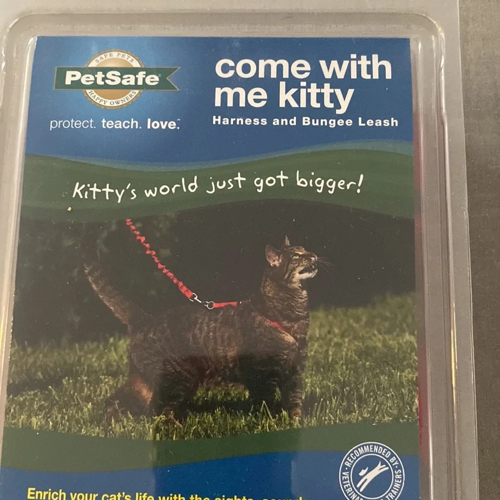 Cat harness and bungee cord leash.